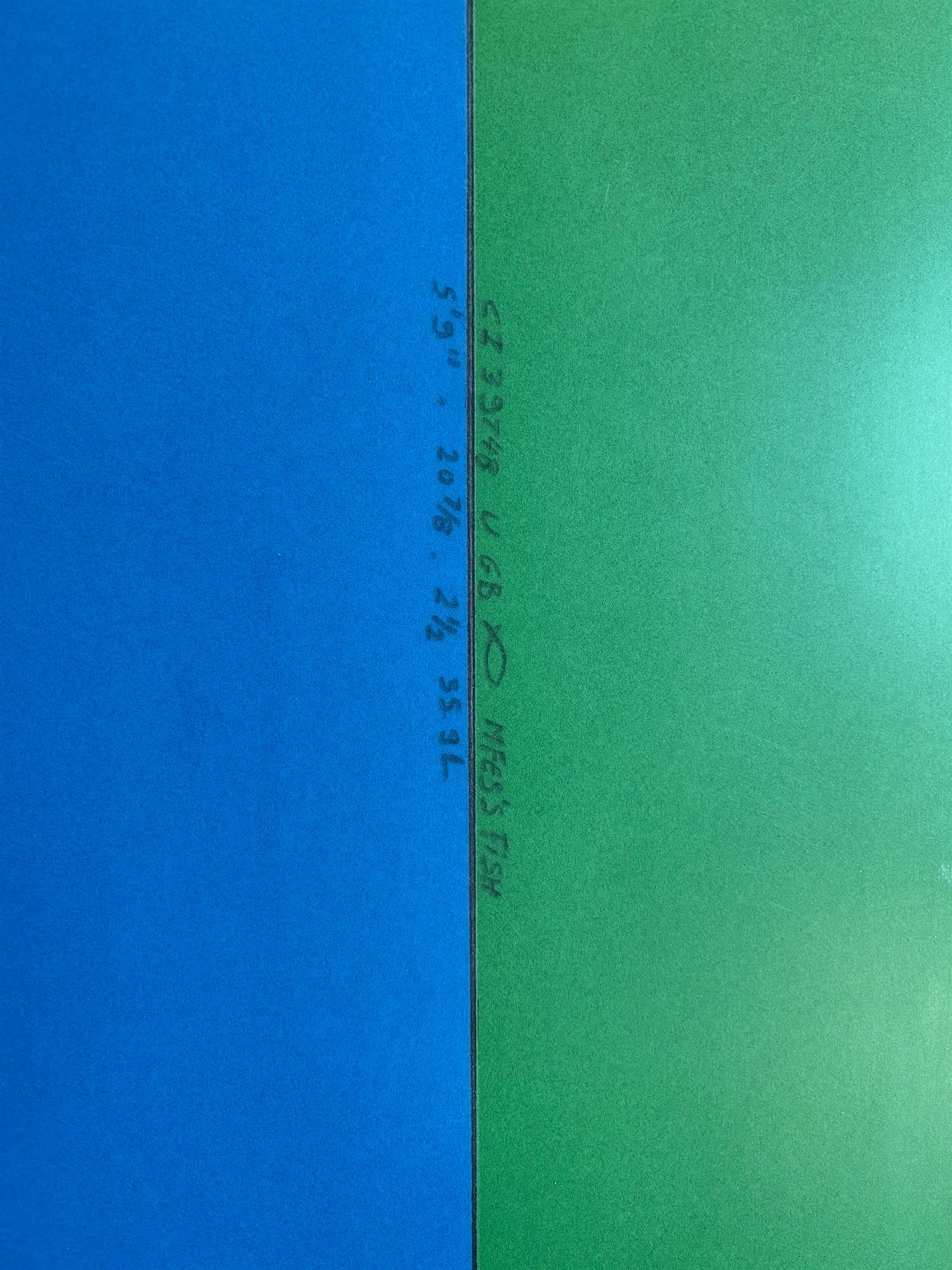 Feb's Fish - Futures Twin Fin