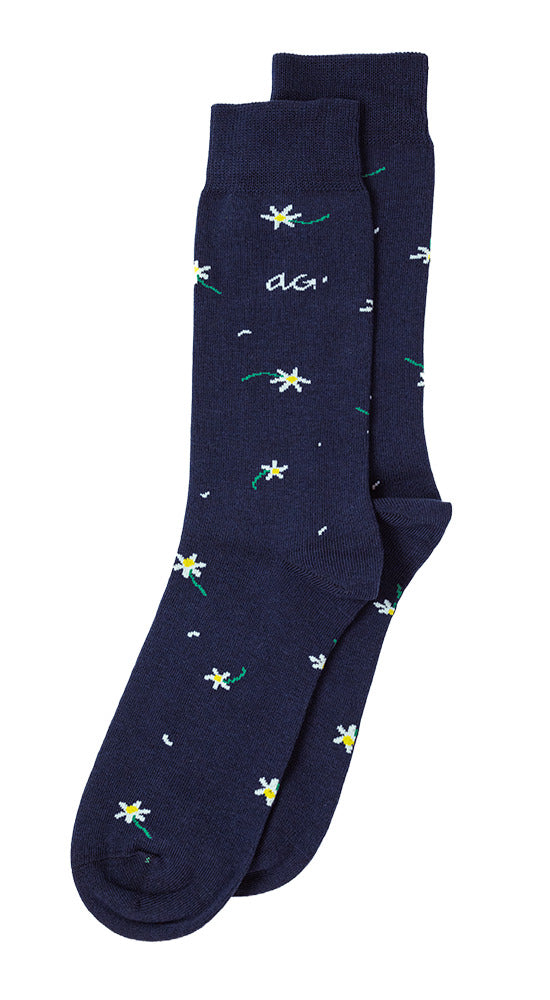 Alfredo Gonzales Daisies