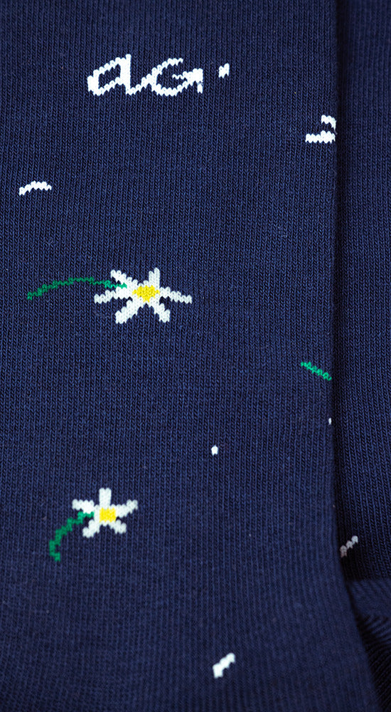 Alfredo Gonzales Daisies