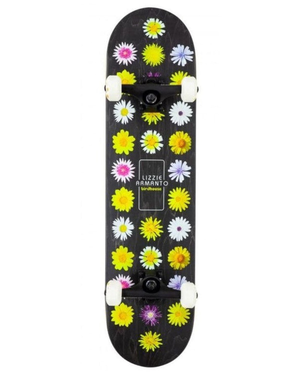 Stage 3 Armanto Floral 7.75" Skateboard Complete