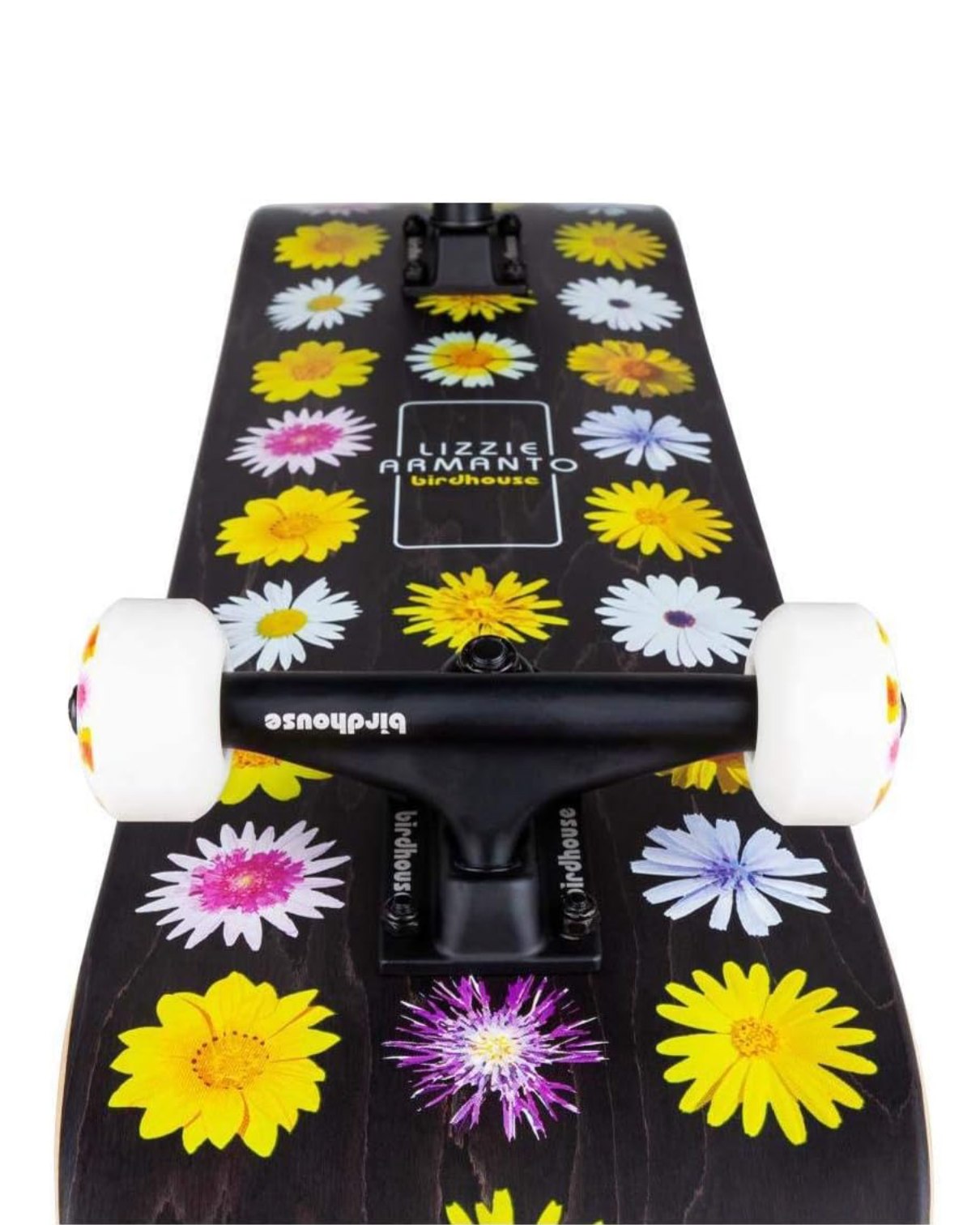 Stage 3 Armanto Floral 7.75" Skateboard Complete