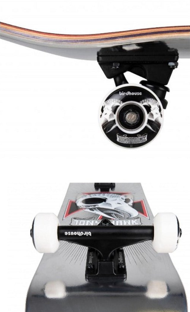 Stage 3 Hawk Skull 2 Chrome 7.75" Skateboard Complete