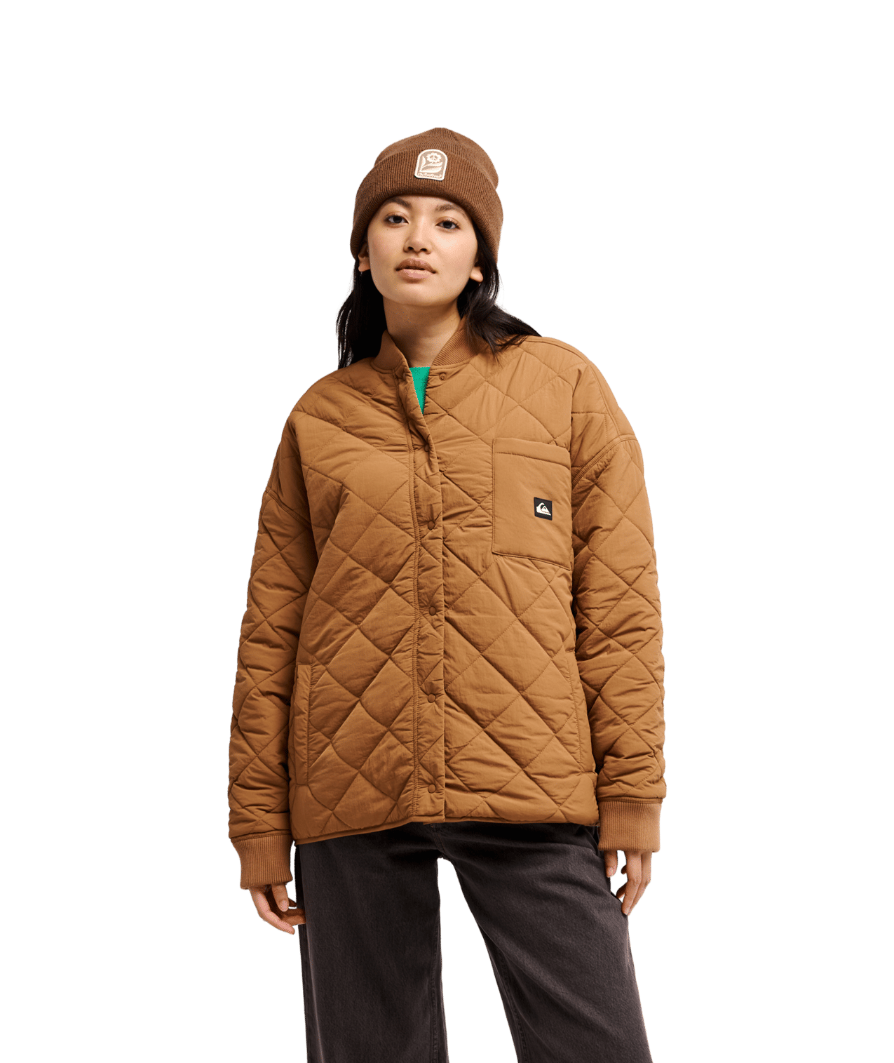 Shining Quilted Parka Jas