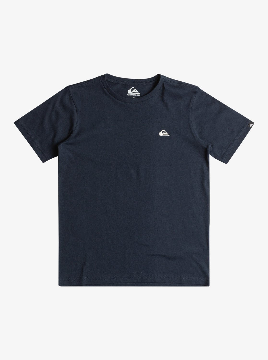 Quiksilver Basic Screen - Boys Surf Lifestyle Short Sleeve T-shirt