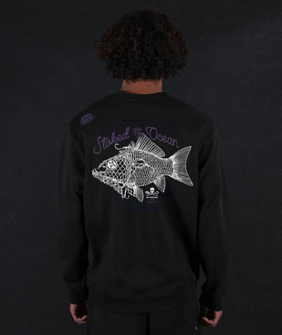 Sea Shepherd fish crew