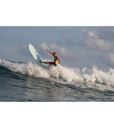 Torq Longboard TET - Futures - 2 + 1 Fin