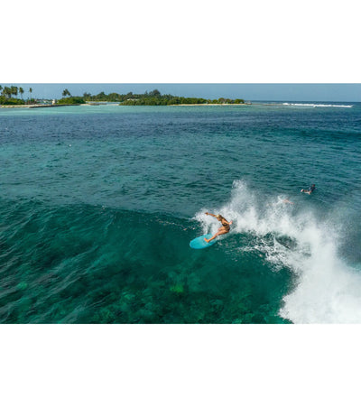 Torq Mod Fish Soft Performance - Futures - 5 Fin