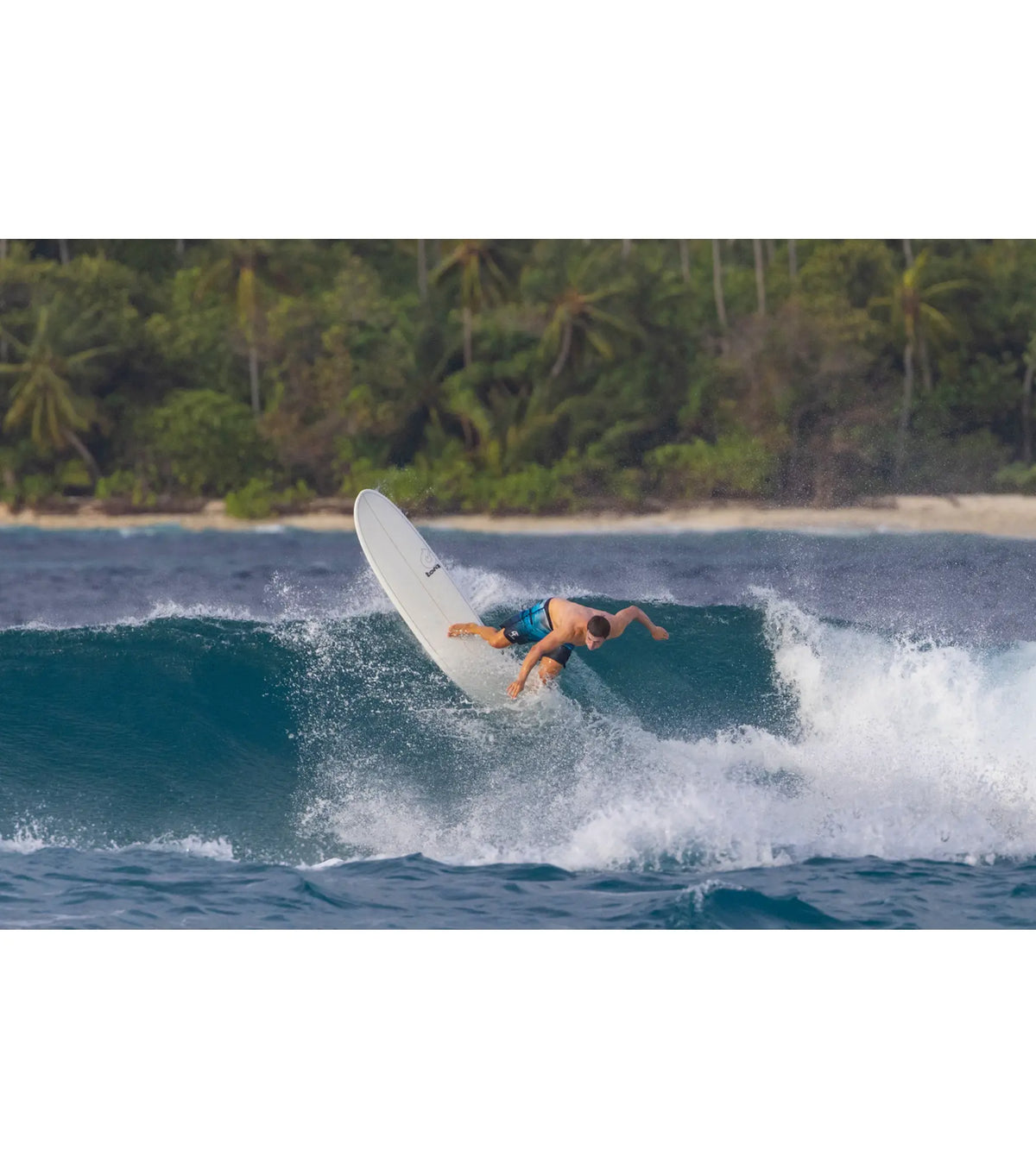 Torq Mod Fun TET - Futures - 3 Fin - Laguna