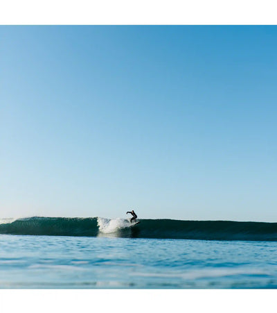 Wayne Rich - Singularity - Carbon - FCS II - 2 + 1 Fin