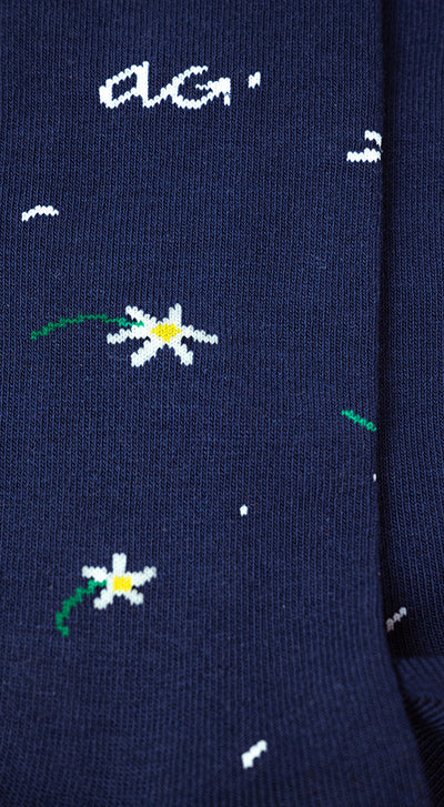 Alfredo Gonzales Daisies