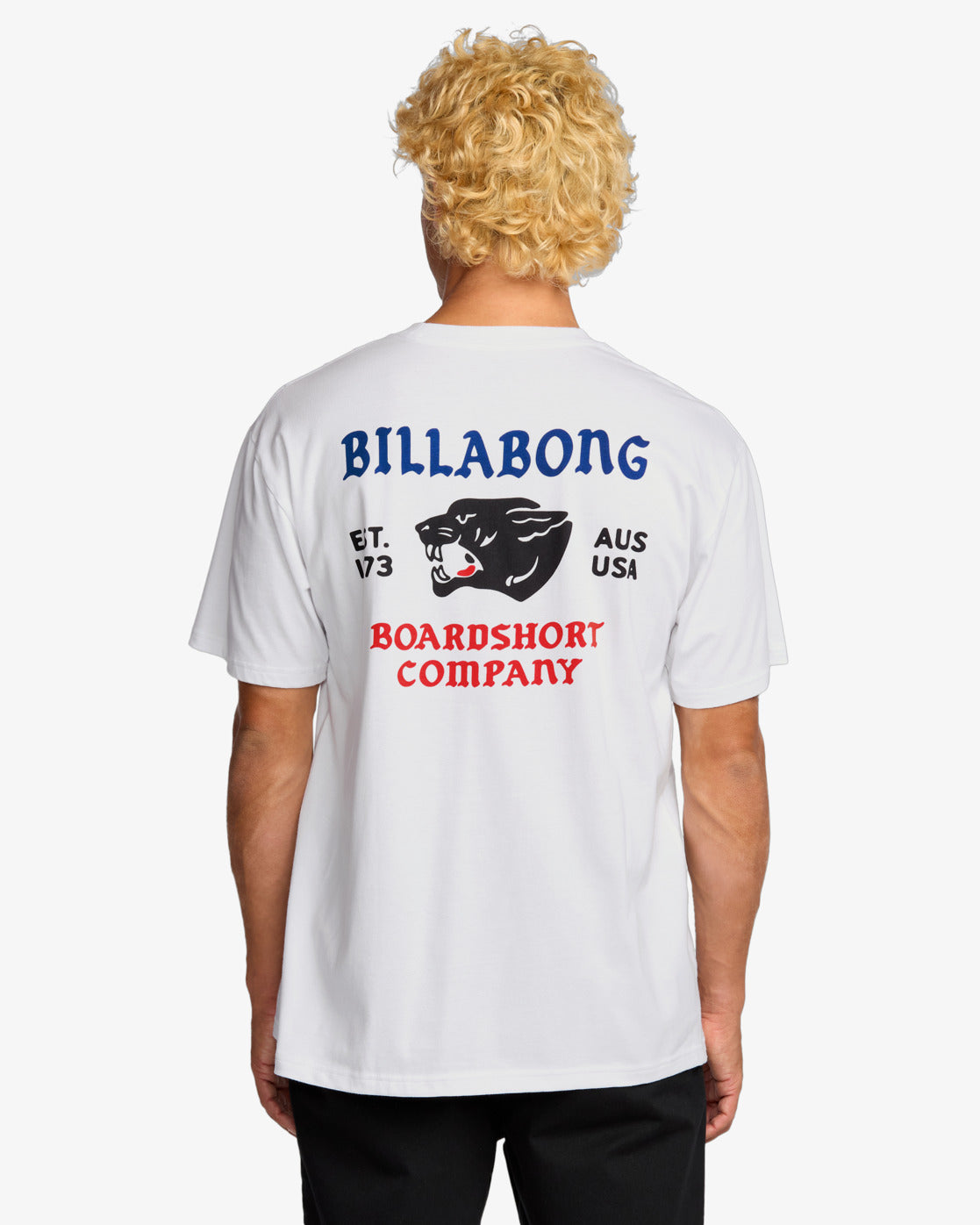 Billabong Formidable Regular - Kurzarm-T-Shirt für Männer