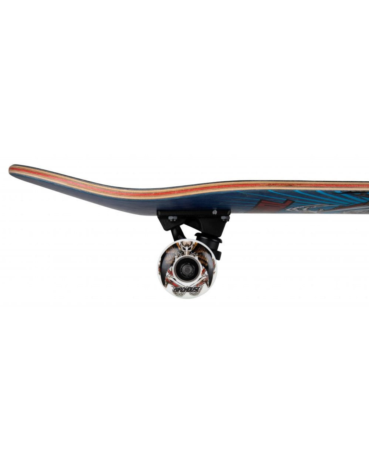 Stage 3 Hawk Birdman 8.0" Skateboard Complete