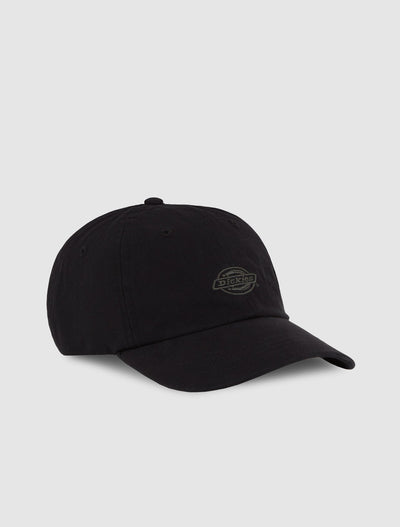 Dickies Duck Canvas Unisex Dad Cap