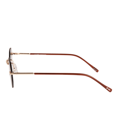 Focal Non-polarized Zonnebril