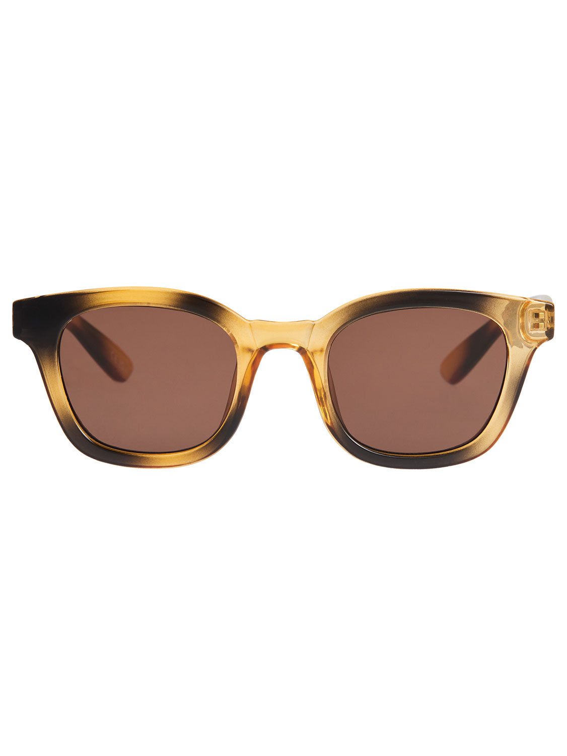 Pulse Shiny Tortoise/Brown Non-Polarized