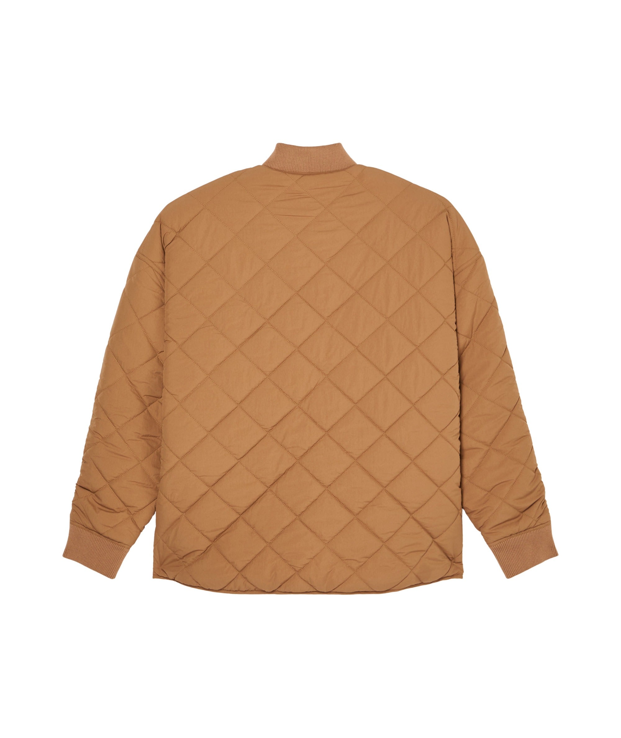 Shining Quilted Parka Jas