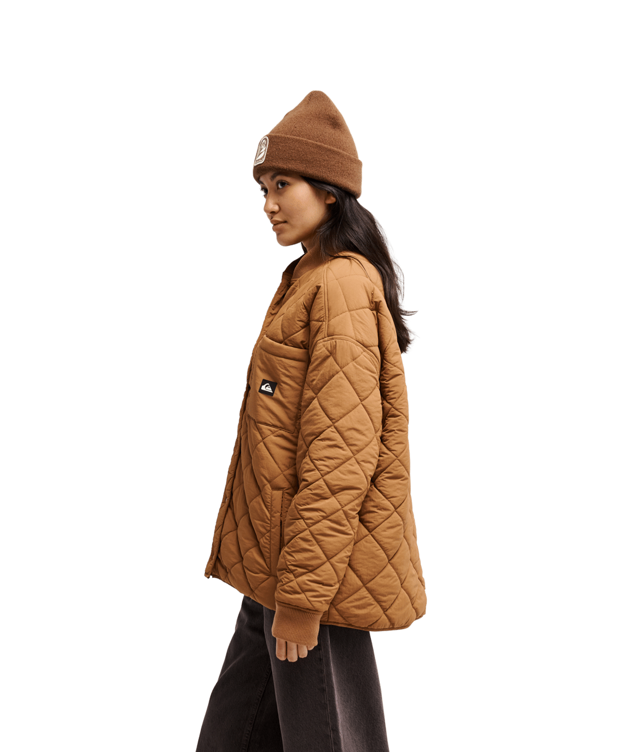 Shining Quilted Parka Jas