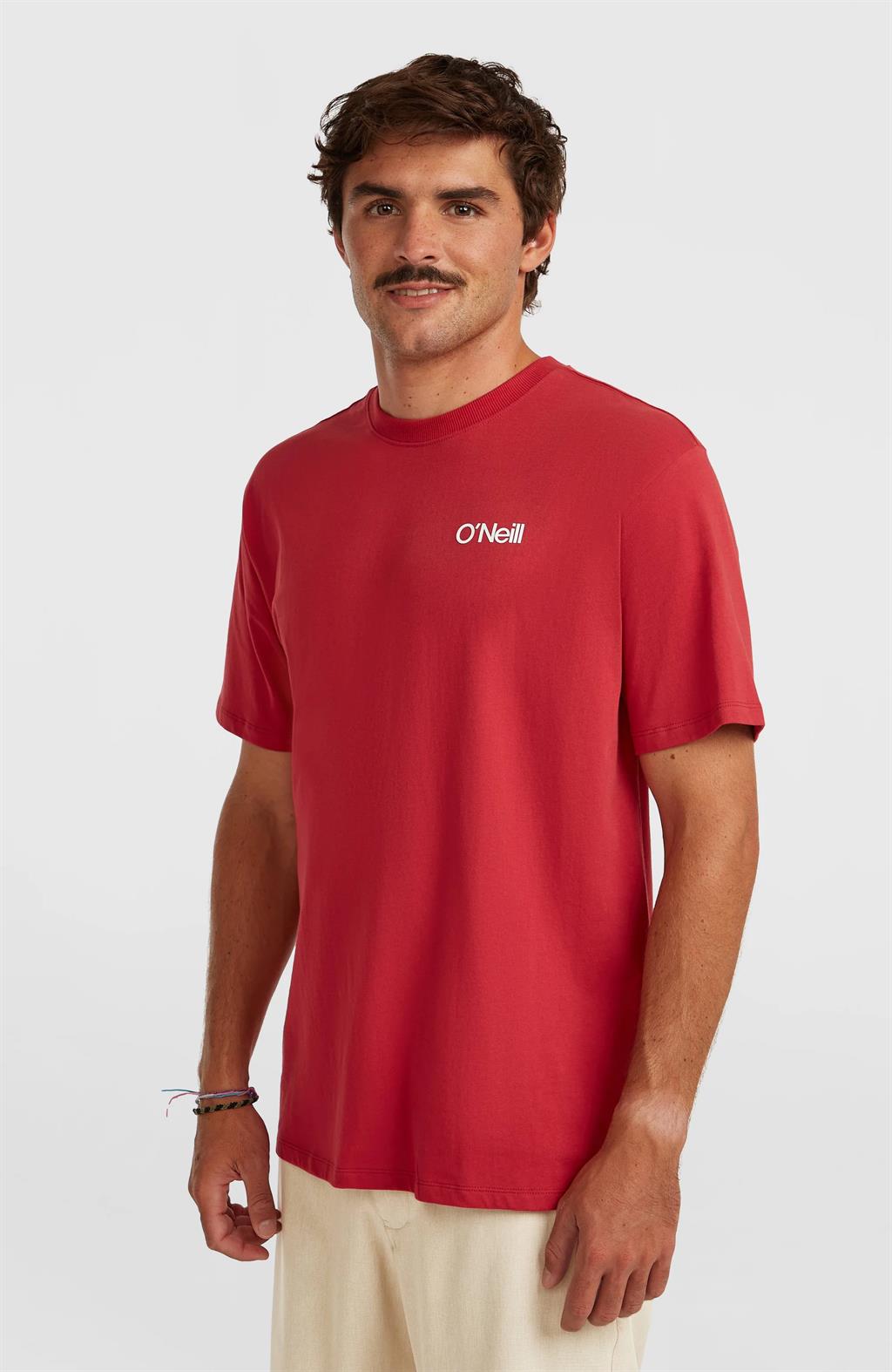Polygiene Cotton Graphic T-shirt voor Heren