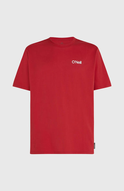 Polygiene Cotton Graphic T-shirt voor Heren