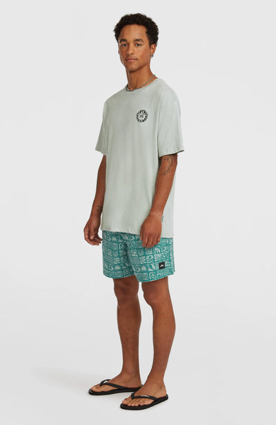 Oneill Print 16" Swimshorts for Men