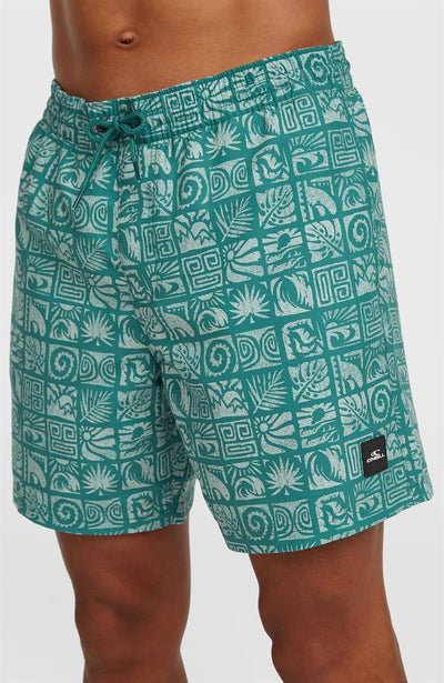 Oneill Print 16" Swimshorts for Men