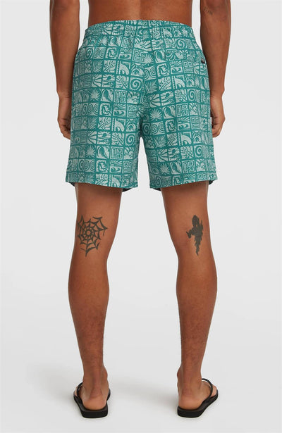 Oneill Print 16" Swimshorts for Men