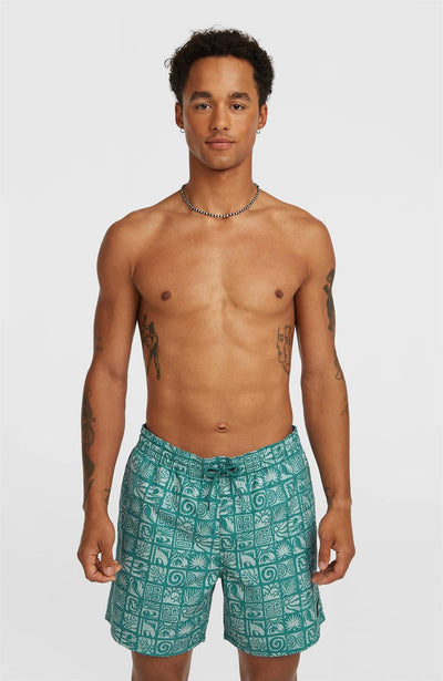 Oneill Print 16" Swimshorts for Men