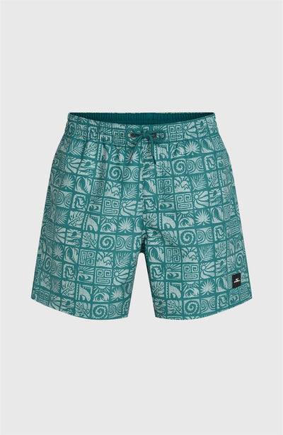 Oneill Print 16" Swimshorts for Men