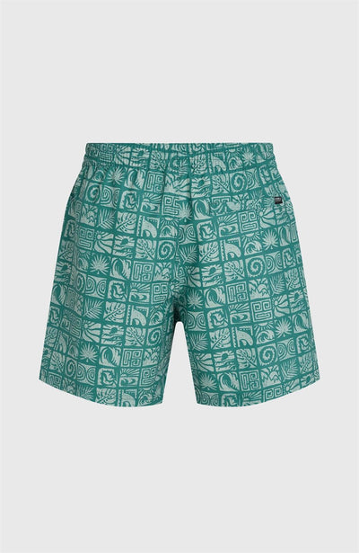 Oneill Print 16" Swimshorts for Men