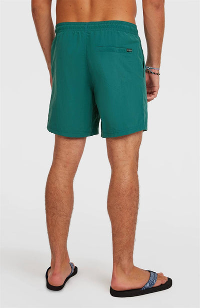 Vert 16" Swimshort for Men