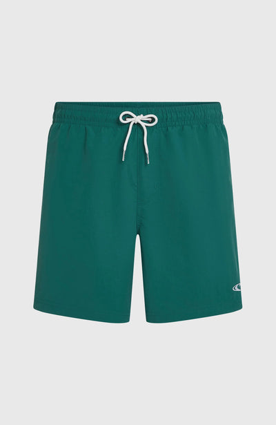 Vert 16" Swimshort for Men