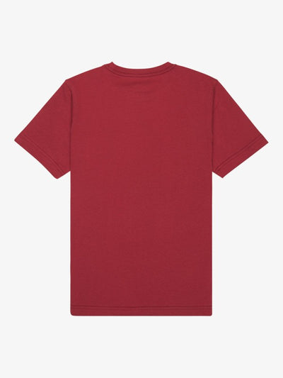 Quiksilver EV Comp Logo - Boys Surf Lifestyle Short Sleeve T-shirt