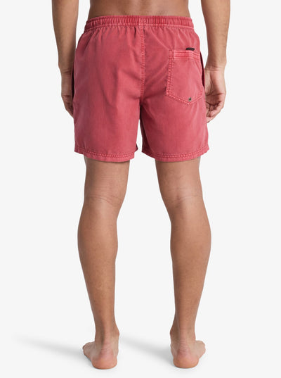 Quiksilver Everyday - Mens Surf Performance Swim Volley