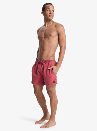 Quiksilver Everyday - Mens Surf Performance Swim Volley
