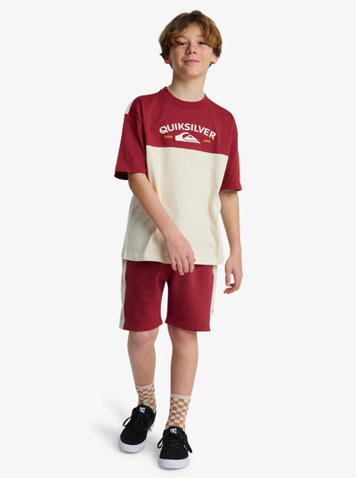 Quiksilver Knowledge Aera - Boys Surf Lifestyle Short Sleeve T-shirt