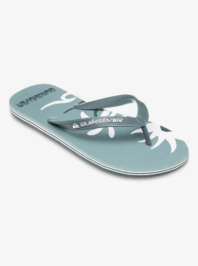 Molokai Screen - Slippers voor heren