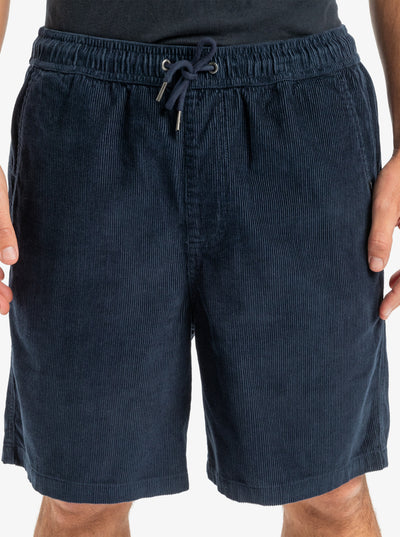 Taxer Corduroy - Heren Surf Lifestyle Walk Shorts