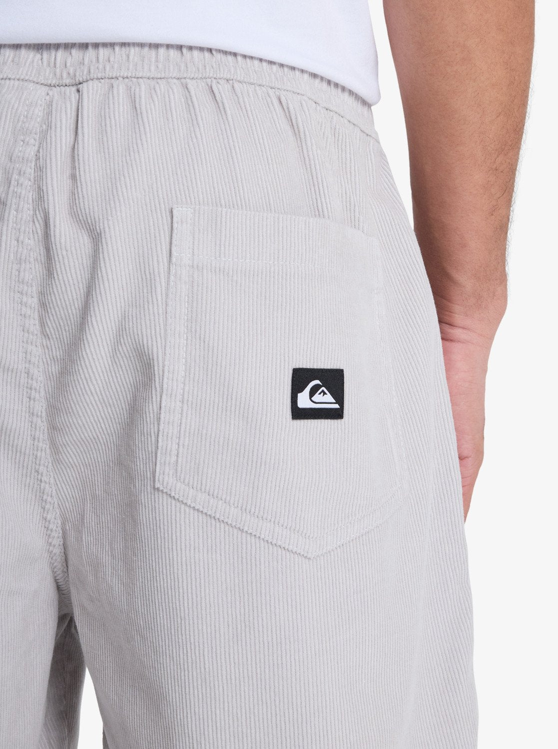 Taxer Corduroy - Heren Surf Lifestyle Walk Shorts