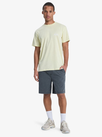 Quiksilver Taxer Ws 19 - Herren Surf Lifestyle Walk Shorts