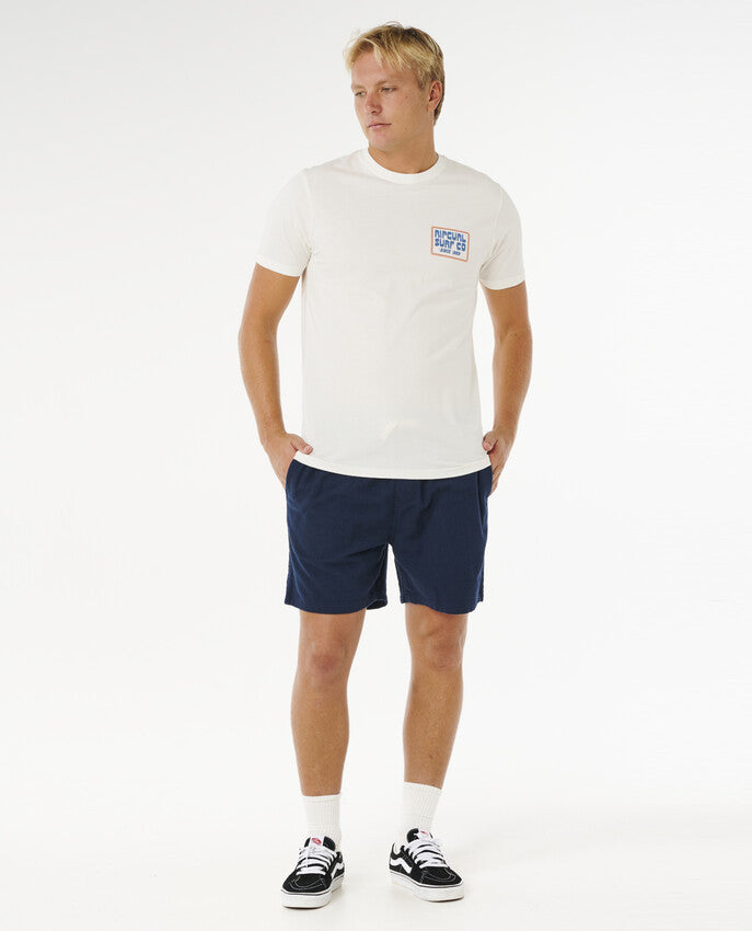 Pacific Rinse Rico Volley Short For Men