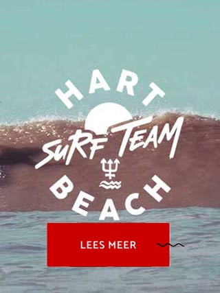 Toyosity Surfer Dudes - Toy Surf Boomerang Powered by Waves (Serie 2)